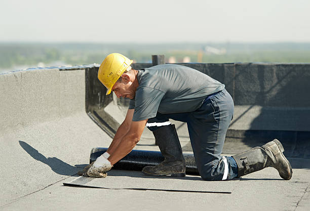 Best Insulation Repair Services  in Verona, PA